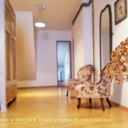 Apartma V Rodnem Dome Vincenze Priessnitze V Centru Lazni Jesionik Zewnętrze zdjęcie